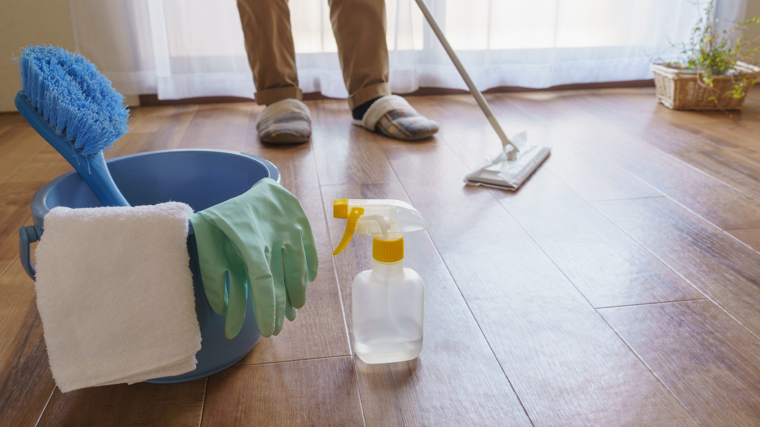 After Hardwood Floor Sanding in eastbarnet, oak hardwood plank floor being gently cleaned with a mop, bucket and spray bottle as part of maintenance.